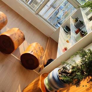 香樟木墩树墩凳子实木墩子根雕原木树桩木桩底座茶几茶桌圆木凳子