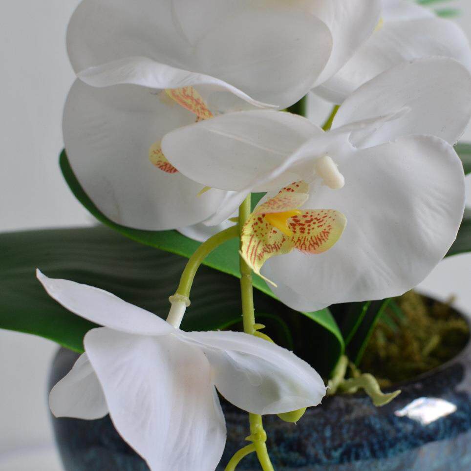 仿真绿植大号仿真花蝶办兰大盆蝴无品牌/景盆栽公装客厅装饰假花