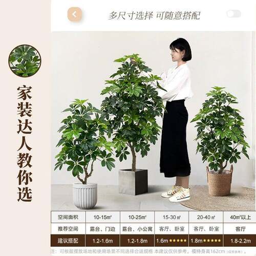 客仿真绿植轻奢鸭脚木大高品质入户玄厅关落地装饰摆件型HSW假树