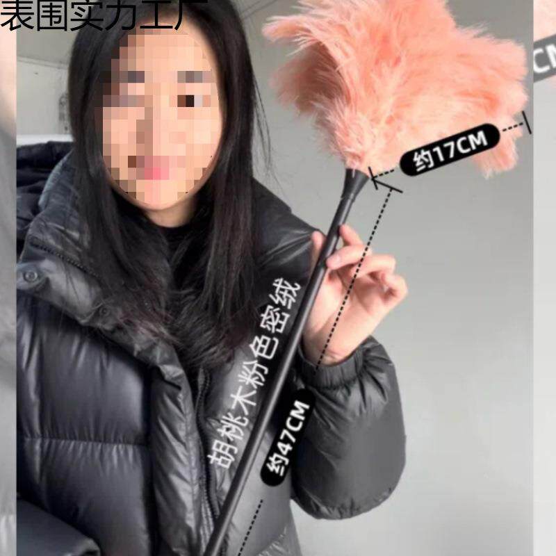 肉粉鸵毛掸子胡鸟桃木柄鸡掸毛掸用子静电除尘家扫车子858桌面装