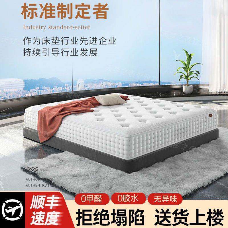 四季款床垫家用厚软垫.8x2m单双人榻榻米加绵1垫超厚海席梦思无品