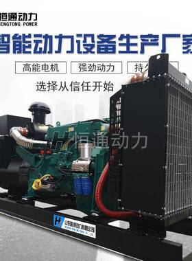 潍2坊0芯0KW千瓦柴油动机组全自动发动铜无刷400V/2HT-20030V发工