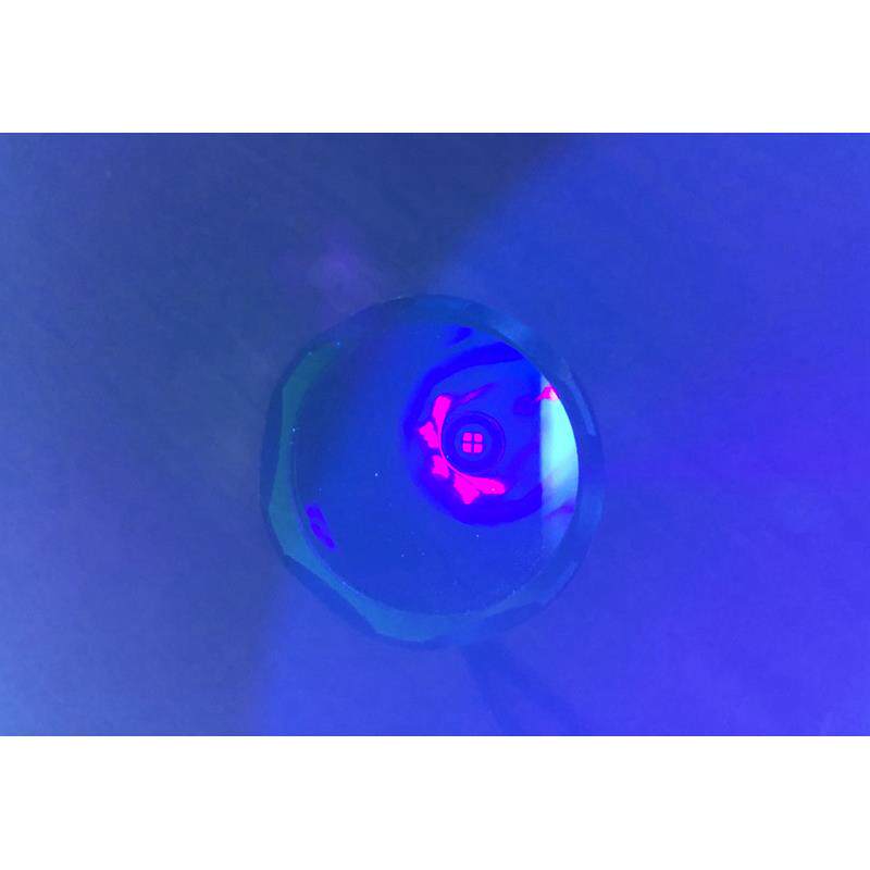 20W伍德氏灯猫藓灯365nm紫光灯20W黑色镜片手电筒伍德灯