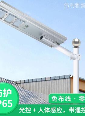 一VL-150化太阳能路灯感户外防水应ED照明灯大功体率太阳L能路灯