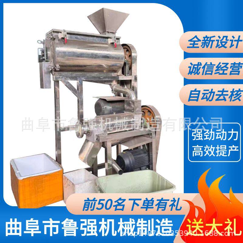 不锈钢去核打浆机生产果蔬饮料加工设备小型不锈钢打汁机厂家