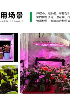 全GGF光ld植物生谱长灯培育苗室内花绿卉多肉植物补光灯促生e长植