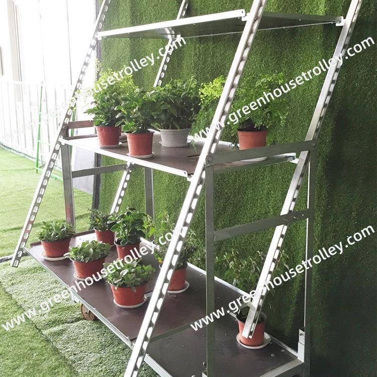 花车蔬育苗架多肉架盆栽放多菜层花摆架拉FLI板网花卉台车