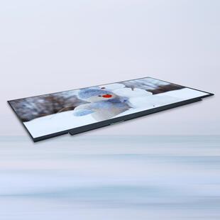 15.6寸EDf接口250亮度lcd液晶显示屏模组192*100P80屏TNI幕tt液晶