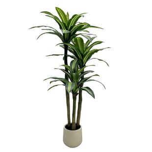 仿热销款 饰摆巴木 真花绿植巴西铁yj10人造富贵西叶室内件装