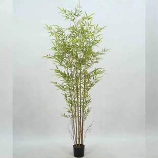 仿真竹子假客厅隔断室内造景观植物室外装饰仿生绿植挡墙绿植墙