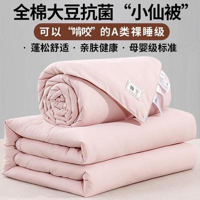 全棉贡缎提拉被链ly-5510款二合子母大豆纤维冬花被双一胎被芯床