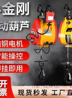 金刚电动葫芦20v小型吊机用45605家小型升小降遥控便携式钢丝绳电