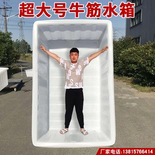 大号加厚牛筋料塑料水箱长方形泡瓷砖养鱼养龟盆家用储水箱养殖箱