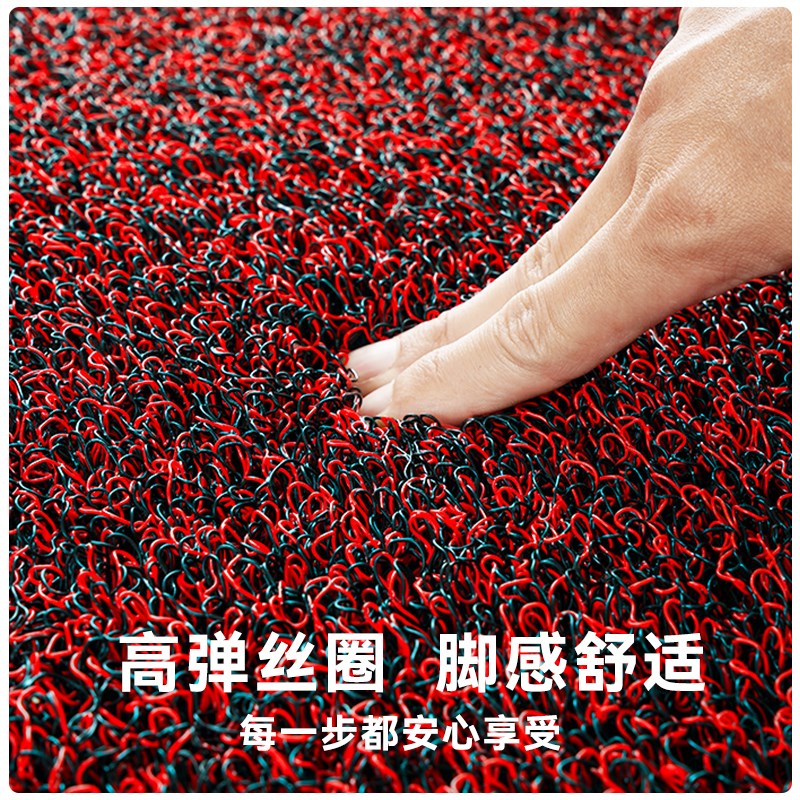 加厚丝圈地垫门口门外蹭土除尘门垫玄关可擦免洗耐脏防滑地毯入户