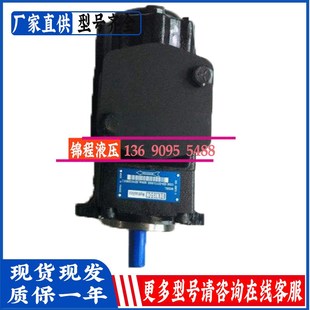 B14 2R00 3R03 B17 C1高压油泵T6CM 丹尼逊DENISON叶片泵T6CM