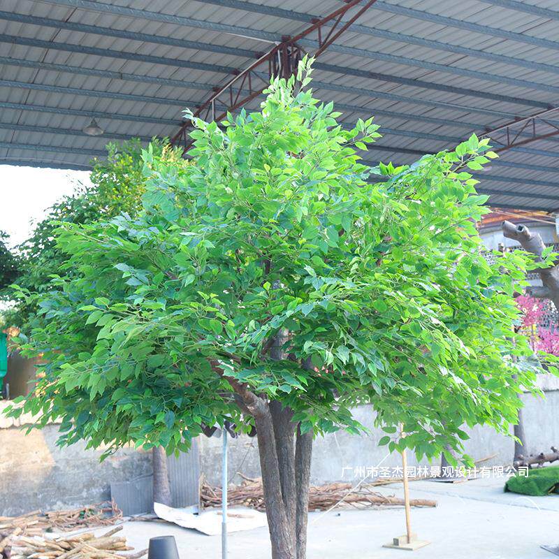 林仿植真香树室樟内外广场公园装饰仿c3真树酒店园景观绿可来图设