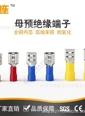 中连预厂家母GWV缘端子0.5-6mm²速PVC冷压端子直销快接线绝端头