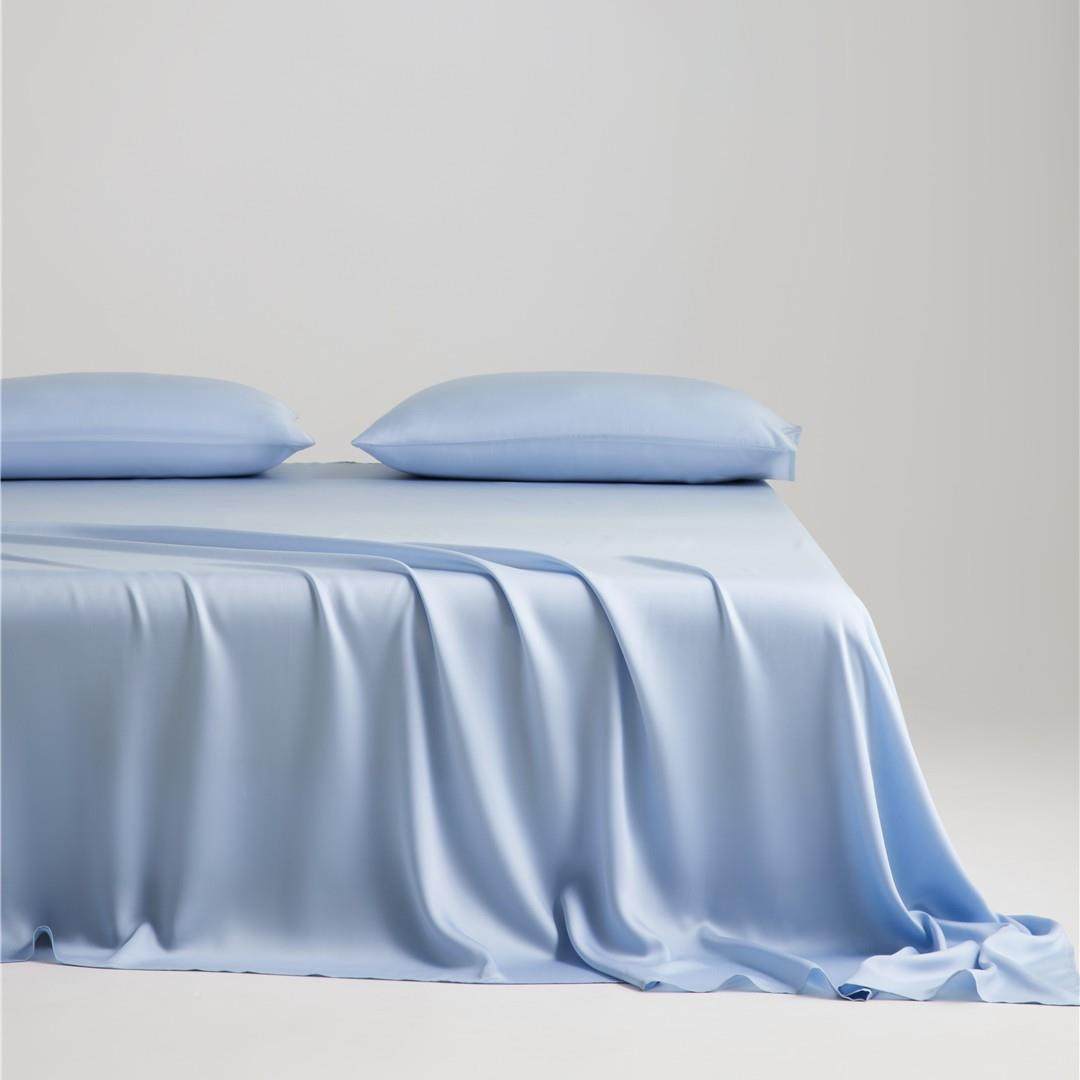 极简色兰精莱赛尔L天丝单床单纯245*250感cF202503LSm丝滑裸床罩