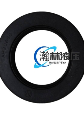 A7VO28 A7VO55 A7VO107 A7VO80 A7VO160德国进口CFW骨架油封密封