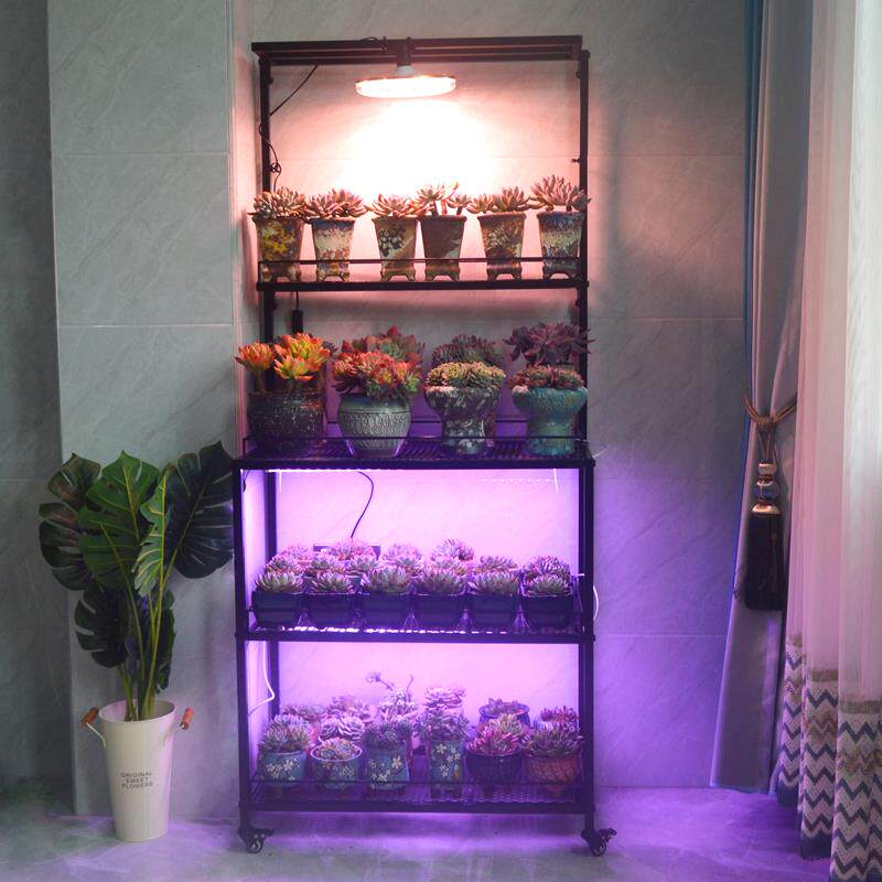 7室内灯阳台多肉W花架可挂补光多层日块根植物PIV架盆栽式花盆架