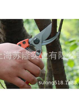 园艺工具手剪德国狮牌11104/012124/11枝1011104/129/1109修剪果