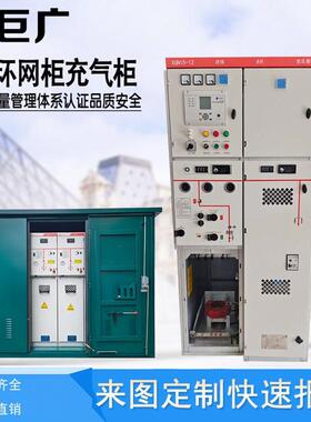 G1XGNHXGN15-115-固体绝缘环网柜二进2四出高压配电柜HXGN1T5-12