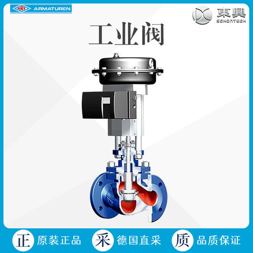 Armaturen 直通式 控制阀 ARI-STEVI Pro 470/471 多型号