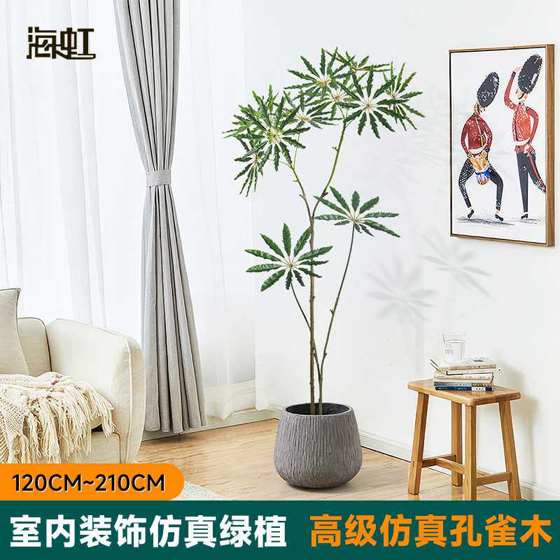 哇噢包邮仿真孔雀木盆栽落地装饰客厅假树室内软装假绿植高级感