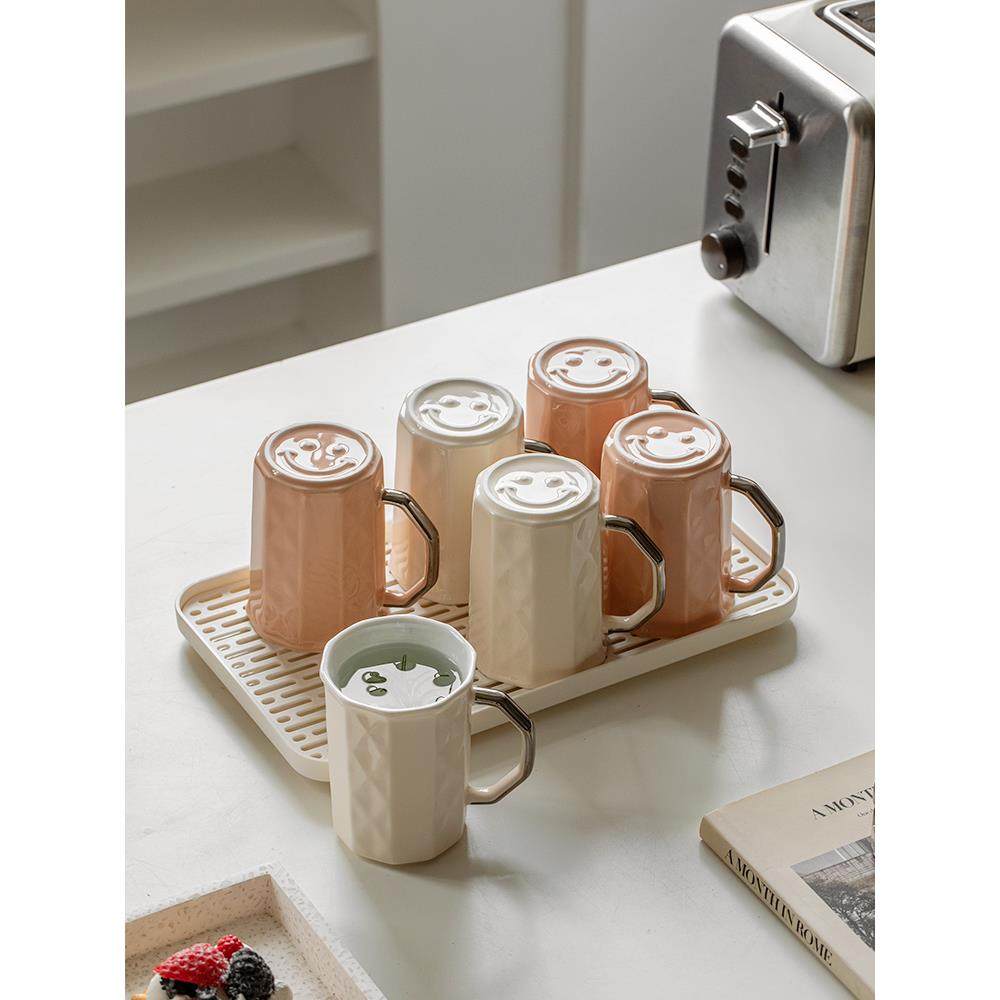 轻奢感水杯家用茶具水具套装客厅招待客人杯子茶杯带把手