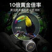 雷龙 猎影高清高倍大目镜广角微光夜视演唱会旅游便携双筒望远镜