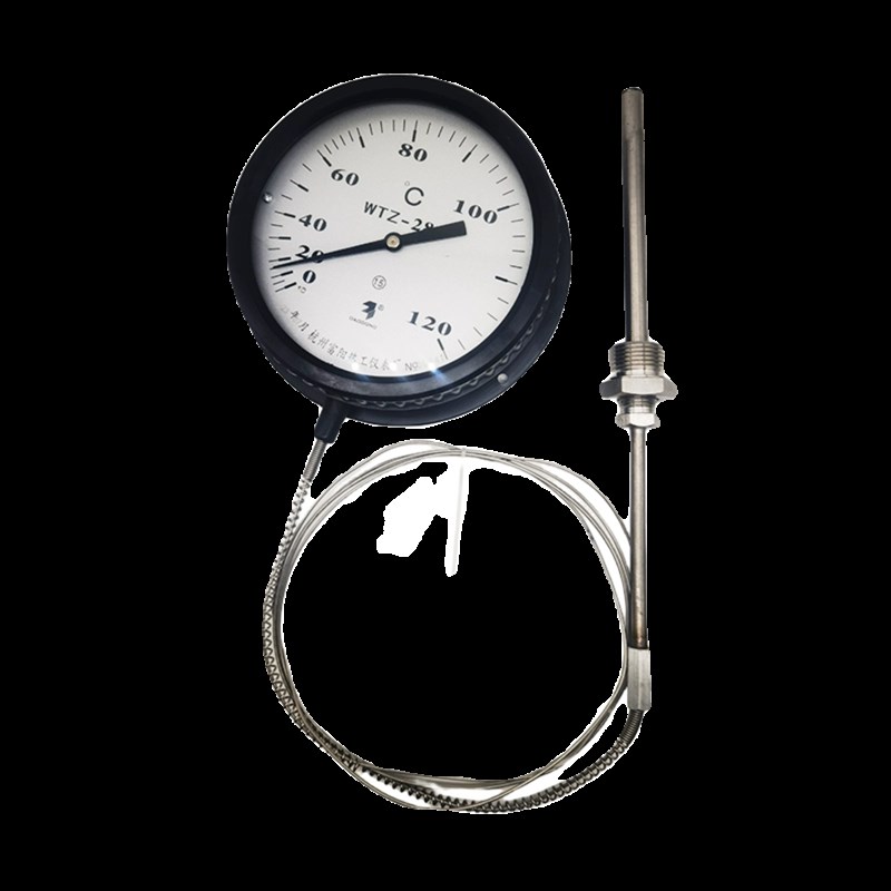 杭州富阳热工WTZ/WTQ-2不锈钢30毛细管耐腐蚀高温压力式温度计