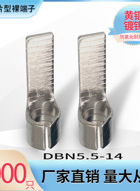 DBN5.5-14片型冷压裸端子片形铜鼻子线耳接线头插片式插针式黄铜