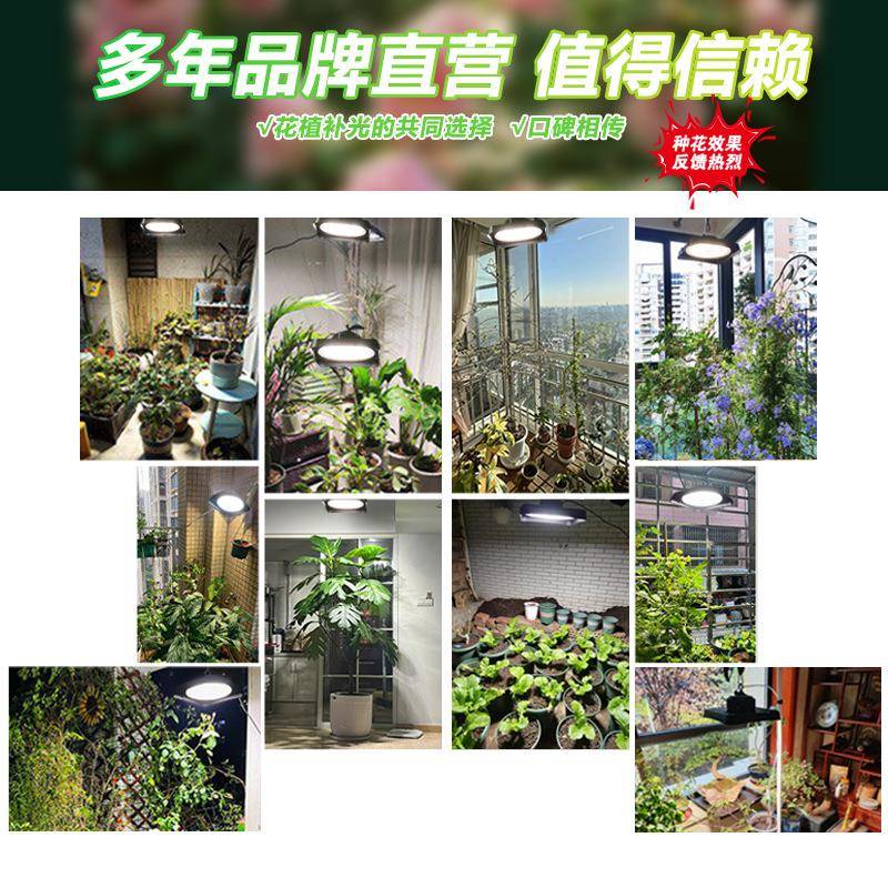室内植物生长育灯模拟太阳光多肉光谱led植物补光灯QXO台阳大全棚