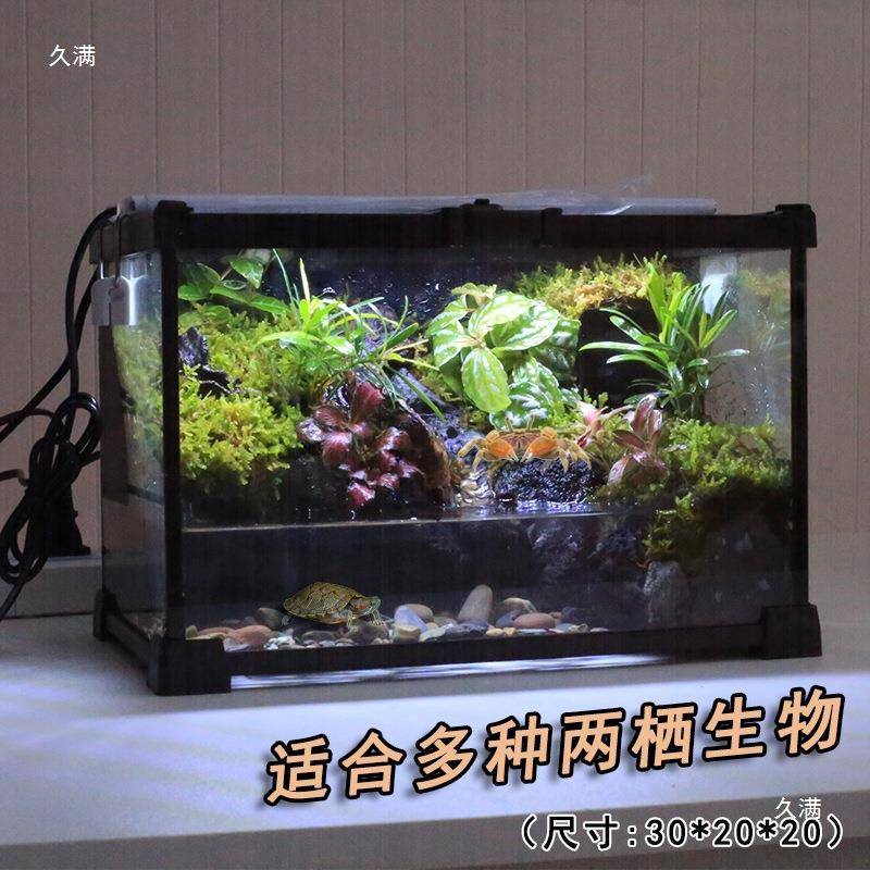 件螃角蛙缸摆成品桌面爬宠龟蟹缸苔藓微景tlznfg%l观森林造景植物