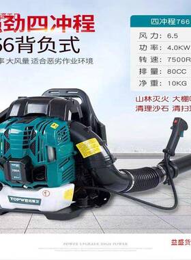 四冲程汽提尘油落吹风机背负手式大功率吹雪机QOQ灭火叶鼓风机吹