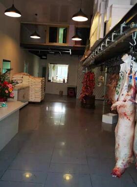 不锈钢滑轮线实WLB体店用宰杀肥锌猪流水镀滑轮配件厂家