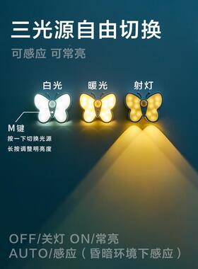 人体应夜间自动人家来即亮感IAL入户门用智能走廊过道楼道墙角充