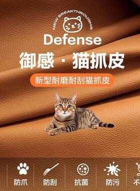 猫爪皮沙发客布厅户型出租房服装店JWU双人折叠多功能两用可艺小