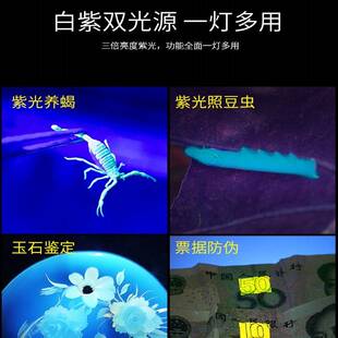 蝎子灯充电手提手电筒超亮户外照蝎子强光紫光灯超长续航照明电筒