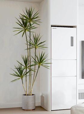 220620龙轻舌奢仿真绿植龙假树植物盆栽内客厅装室饰兰家居落地盆