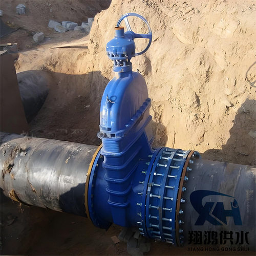 DN100010Q双法兰传力接头伸缩器