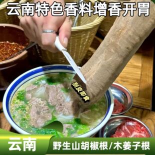 云南新鲜野生特产山胡椒根山苍子木姜子树根香味面条米线煲汤增香