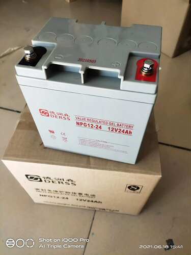 德润森蓄电池NPG-2412V24AH铅酸免维护蓄电池