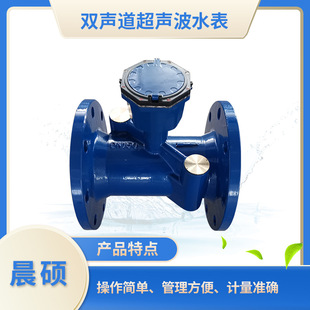 超声波水表单声道 DN50带法兰盘超声波水表