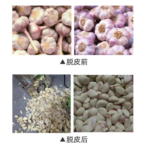 不锈钢小型商用大蒜剥皮机全自动剥蒜去皮机多功能大蒜脱皮机