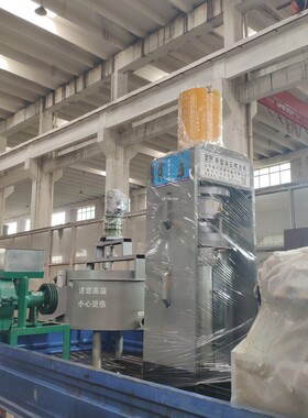 商用菜籽茶籽油榨油机丰城油茶榨油机冷榨山茶油榨油机