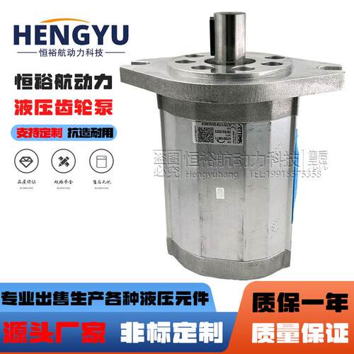 赛特玛螺杆泵SETTIMA齿轮泵G72V175FSDACMED G72V125 G72V101油泵