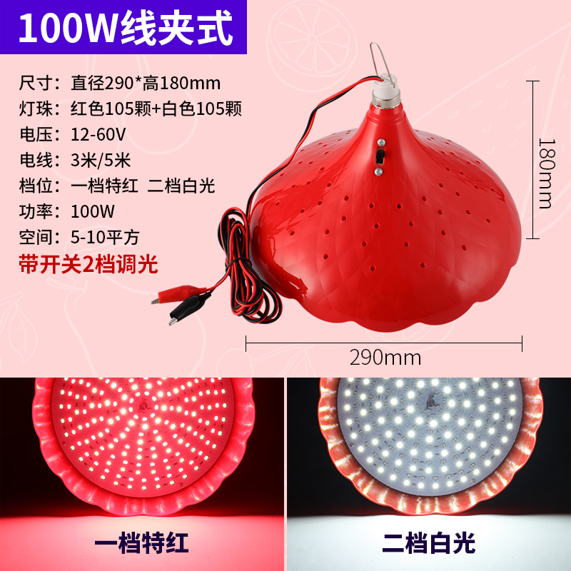 生鲜灯v3v0vLED低压夜市摆地摊猪肉水果卤菜海鲜熟食灯泡