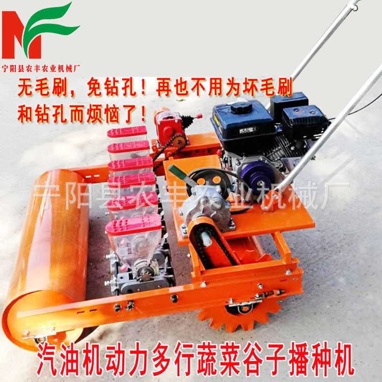 无毛刷免钻孔勺式蔬菜谷子精播机手推草籽花卉小粒种子播种机厂家