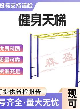 厂家户外健身云梯平梯室外健身路径户外体育用品天梯平行梯